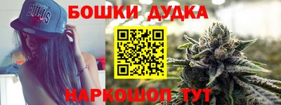 СК Новодвинск