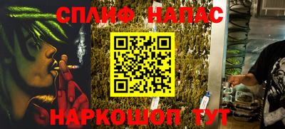СК Новодвинск
