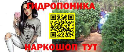 шишки Новокубанск