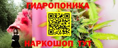 шишки Новокубанск