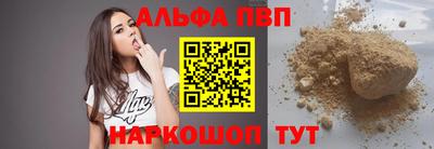 СК Новодвинск