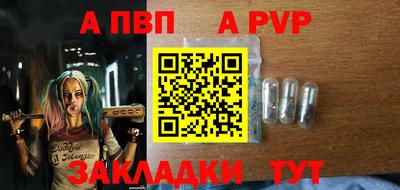 СК Новодвинск