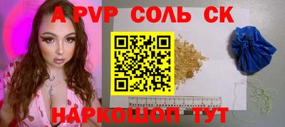 СК Новодвинск